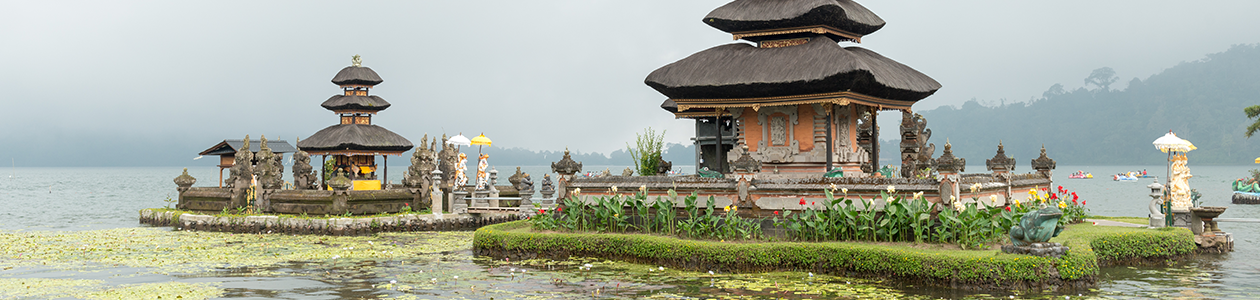 International Packages