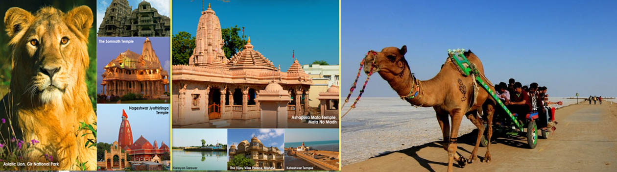 Gujarat Holiday Packages