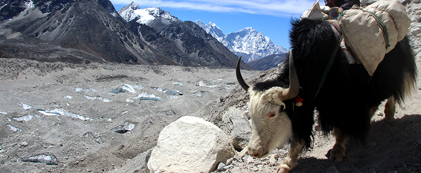 Nepal Holiday Packages